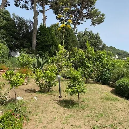 Mezzomonte Apartment