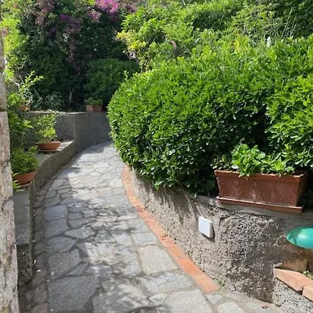 Apartment Mezzomonte *
